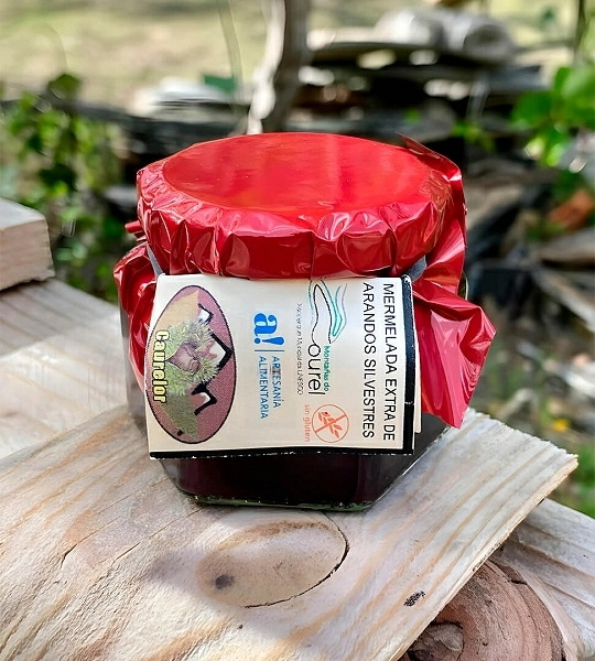 Mermelada de arándanos silvestres